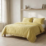 3pcs Lace Ruffled Bedding Comforter Set - Fredesigner