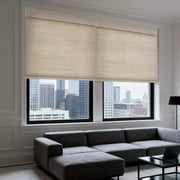 Filtering Roller Window Curtains for Interior Home