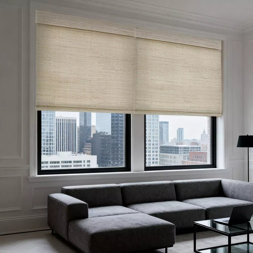 Filtering Roller Window Curtains for Interior Home