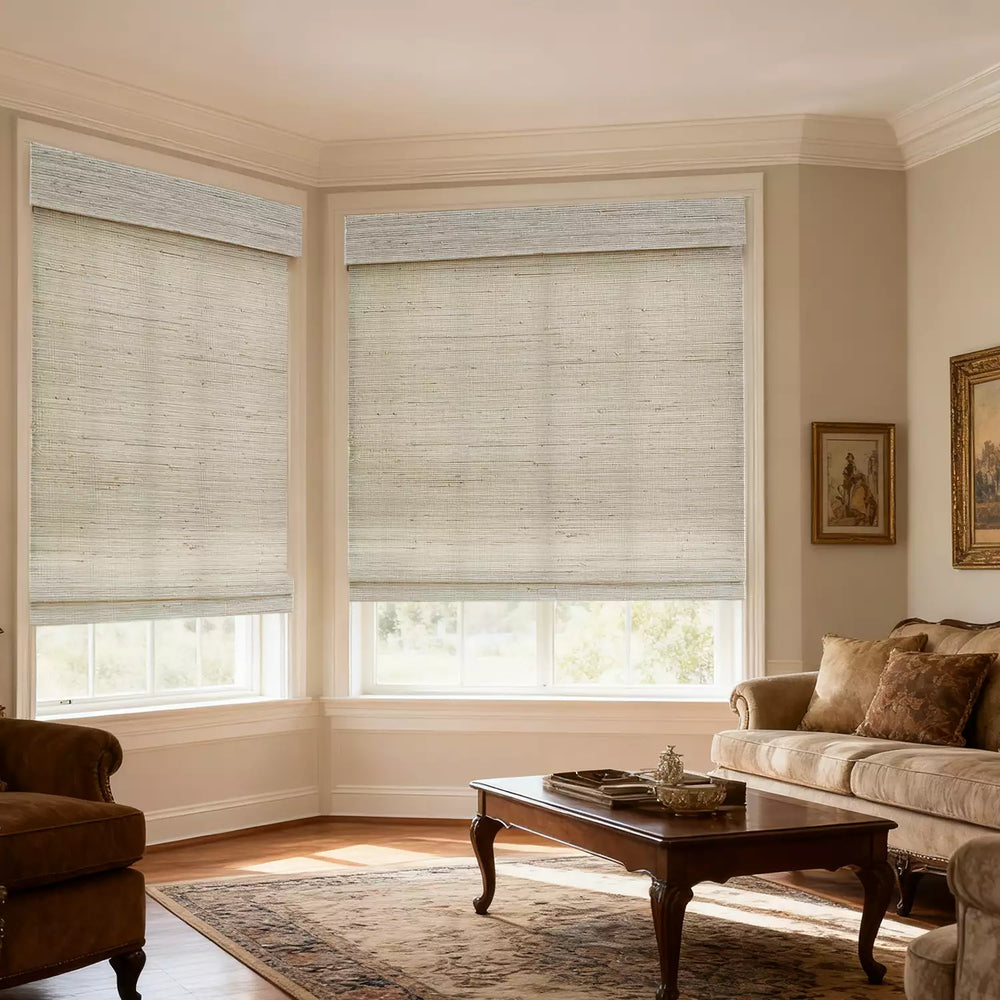 Filtering Roller Window Curtains for Interior Home