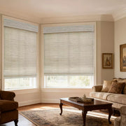 Filtering Roller Window Curtains for Interior Home