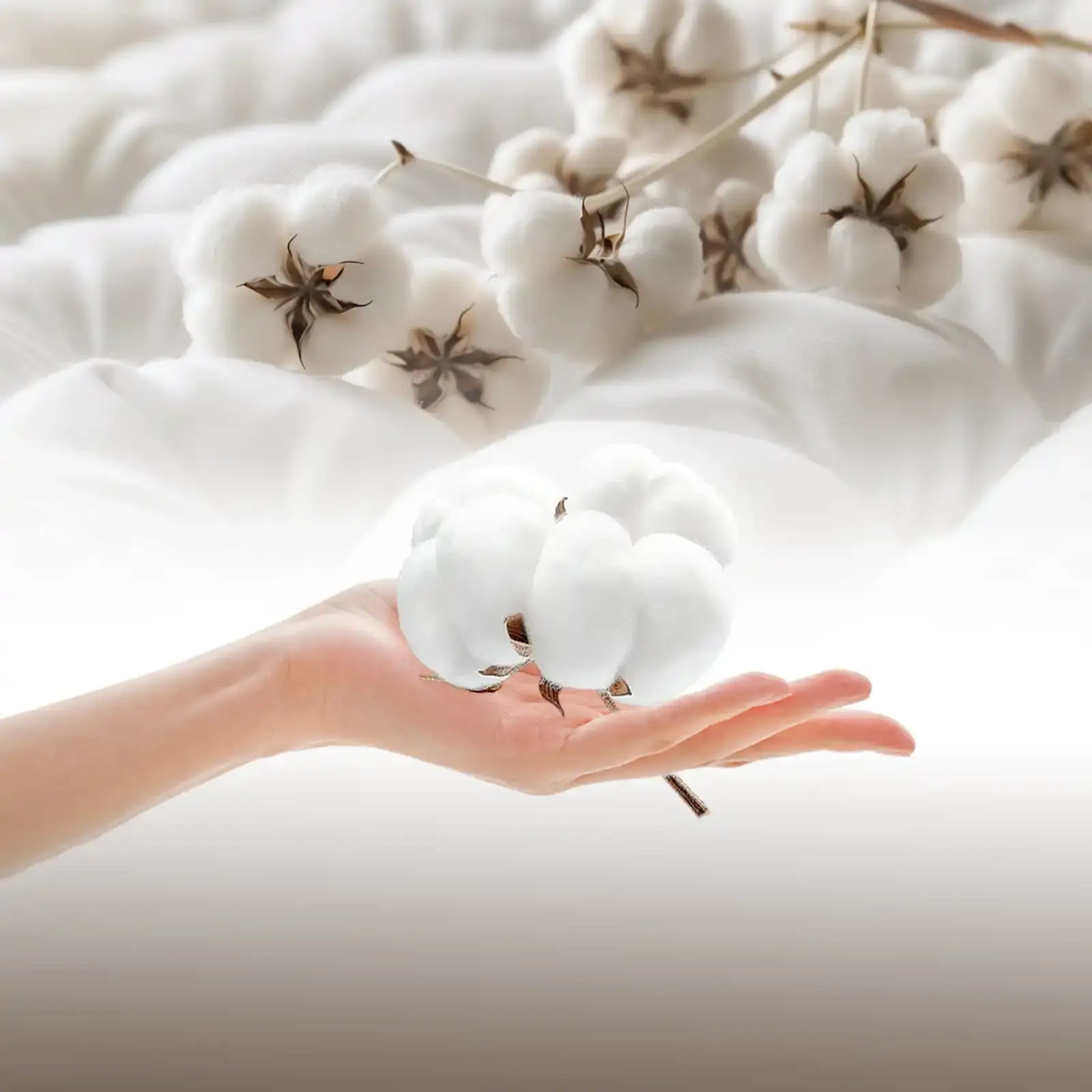  Cotton Duvet Cover