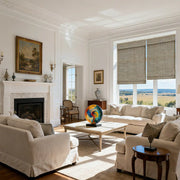 Living Room  Adjustable Blinds