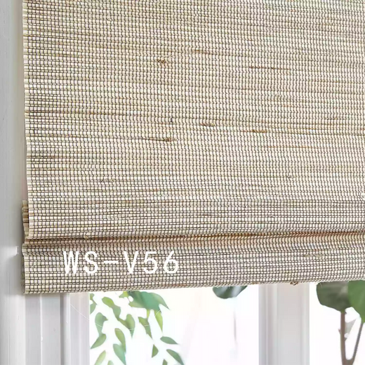 Filtering Roller Window Curtains for Interior Home